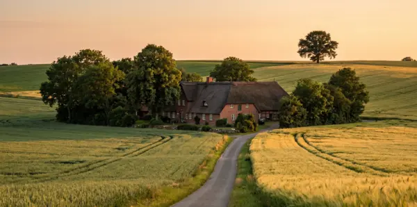 Deutscher WordPress Hack Spezialist aus Schleswig-Holstein - DSGVO konformer lokaler Ansprechpartner