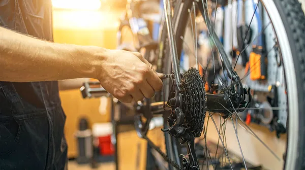 Fahrradmechaniker tauscht eine verschlissene Kette – Updates für WordPress, Plugins und Themes mit Sicherheitsnetz